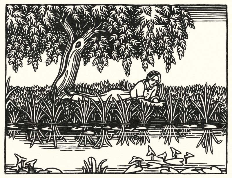 Ilustração para Tess Of The DUrbervilles de Thomas Hardy (gravura) de Vivien Gribble