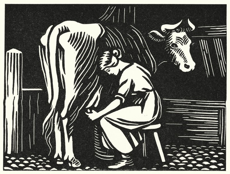 Ilustração para Tess Of The DUrbervilles de Thomas Hardy (gravura) de Vivien Gribble