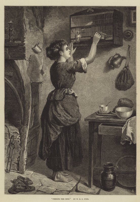 Alimentando os animais de estimação de W. Fyfe