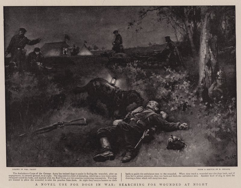 Um novo uso para cães em guerra, procurando por feridos à noite de Walter Stanley Paget