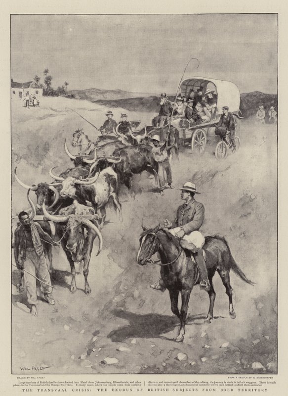 A Crise do Transvaal, o Êxodo dos Sujeitos Britânicos do Território dos Bois de Walter Stanley Paget