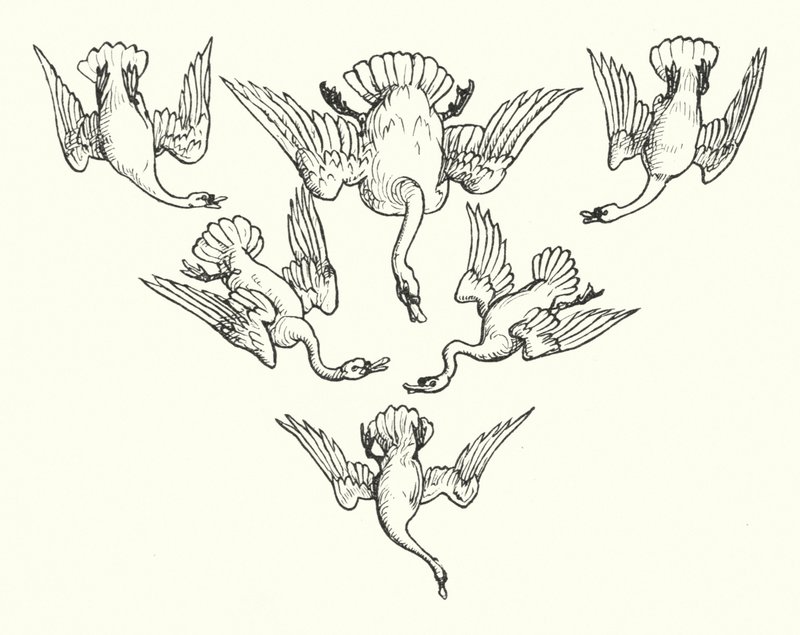 Os Seis Cisnes (gravura) de Walter (after) Crane