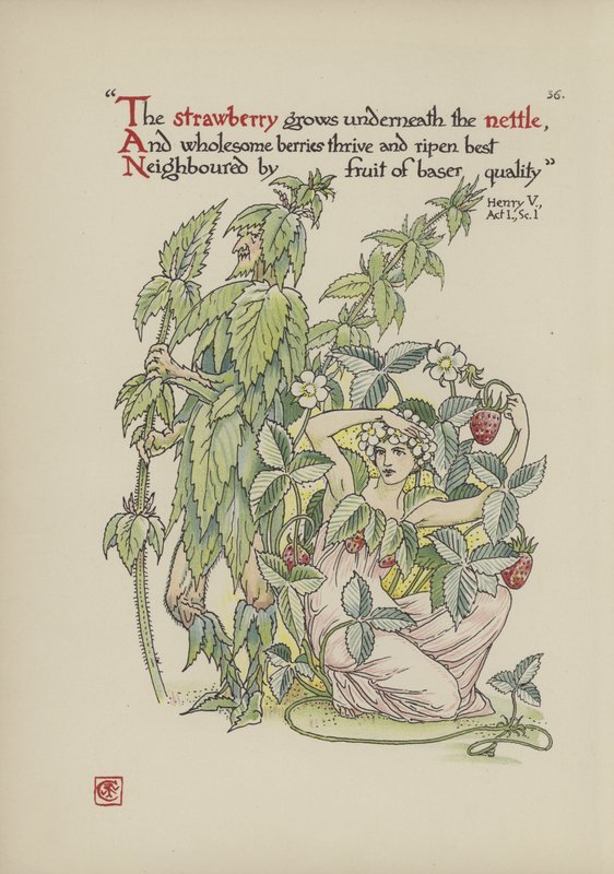 Flores do jardim de Shakespeare de Walter Crane