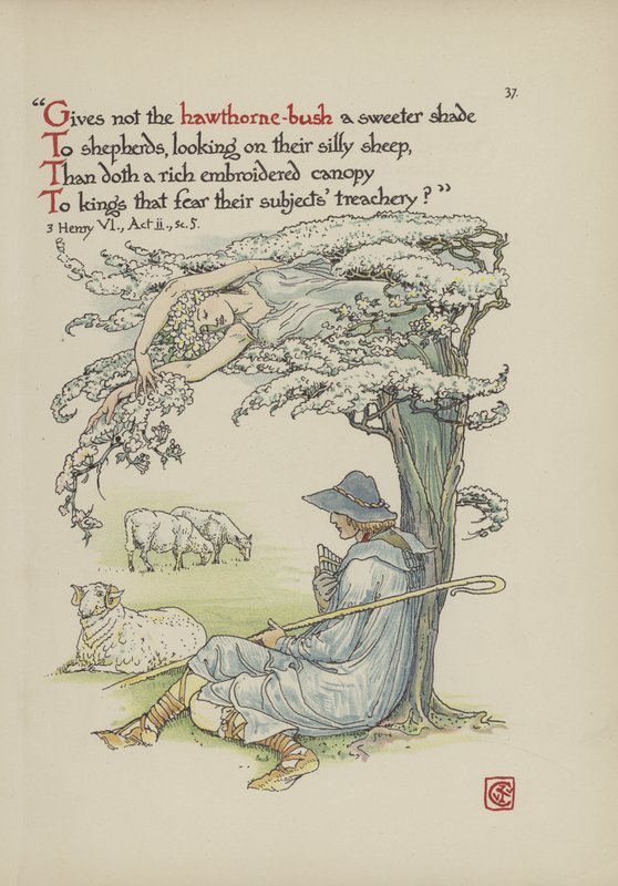 Flores do jardim de Shakespeare de Walter Crane