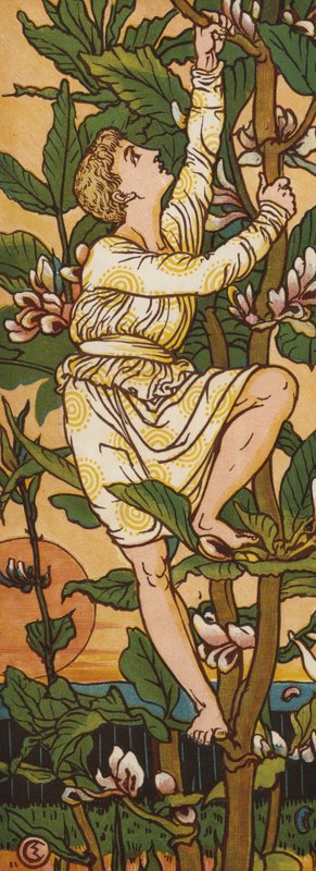 Jack e o pé-de-feijão (cor litho) de Walter Crane