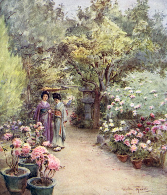 Peônias em um jardim de chá, Kyoto de Walter Frederick Roofe Tyndale
