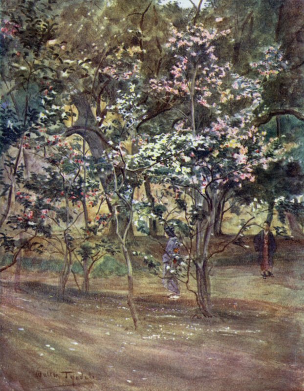 Camélias Únicas no Parque Ueno, Tokio de Walter Frederick Roofe Tyndale