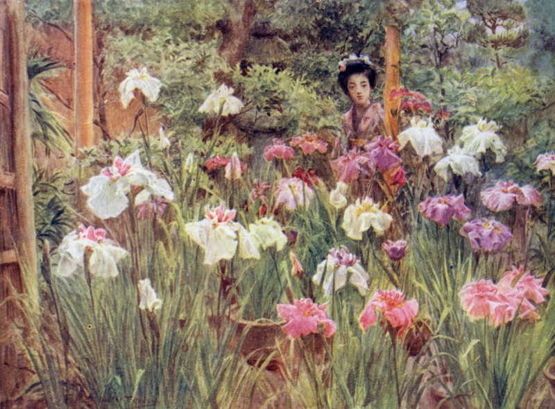 Íris do espécime de Walter Frederick Roofe Tyndale