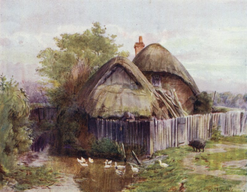 A Nova Floresta: A Cottage at Bartley (cor litho) de Walter Frederick Roofe Tyndale