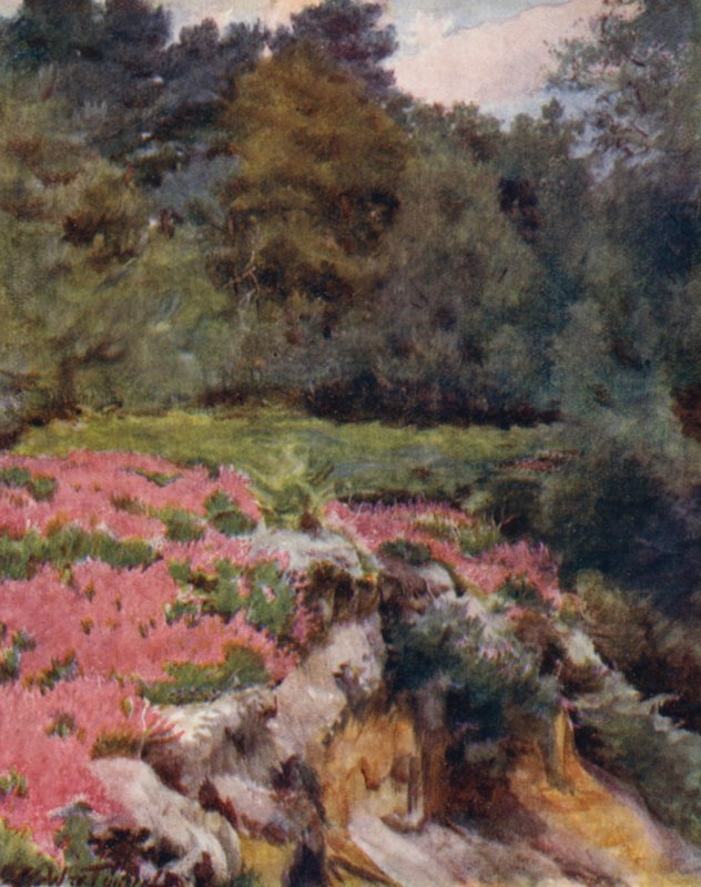 A Nova Floresta: A Gravel Pit Head at Royden (cor litho) de Walter Frederick Roofe Tyndale