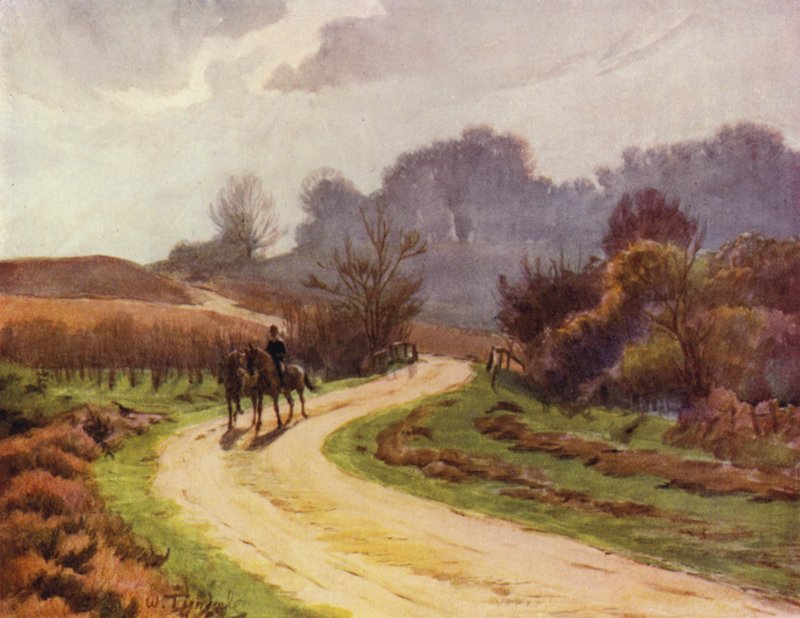 A Nova Floresta: Beaulieu, Lyndhurst (cor litho) de Walter Frederick Roofe Tyndale
