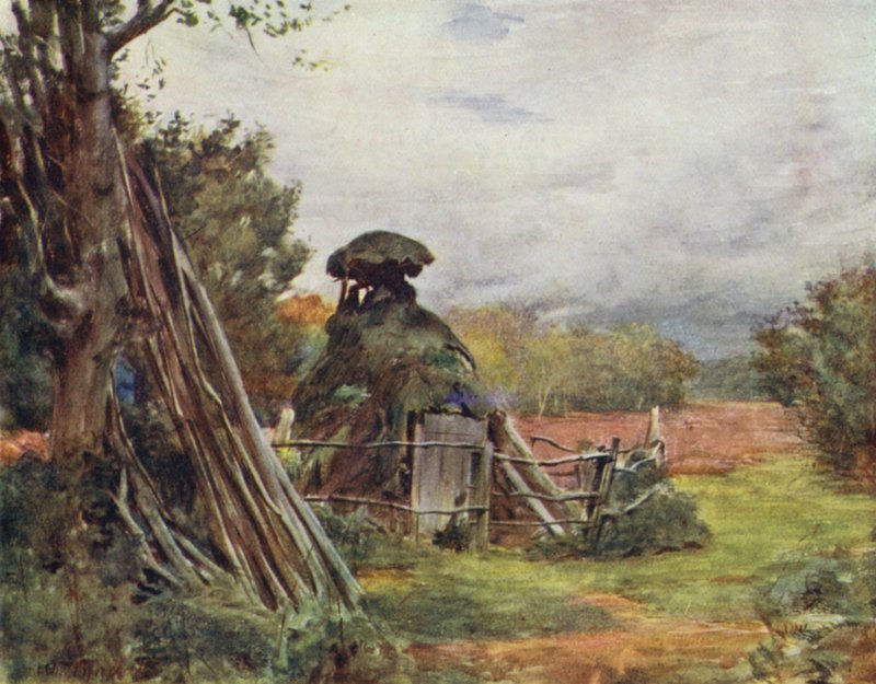 A Nova Floresta: Charcoal Burner