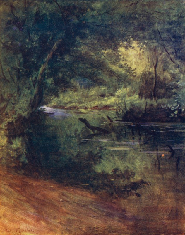 A Nova Floresta: Northgate, perto de Culverley, no Lodge Walk (cor litho) de Walter Frederick Roofe Tyndale