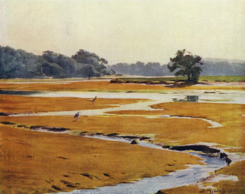A Nova Floresta: O Rio Beaulieu (cor litho) de Walter Frederick Roofe Tyndale