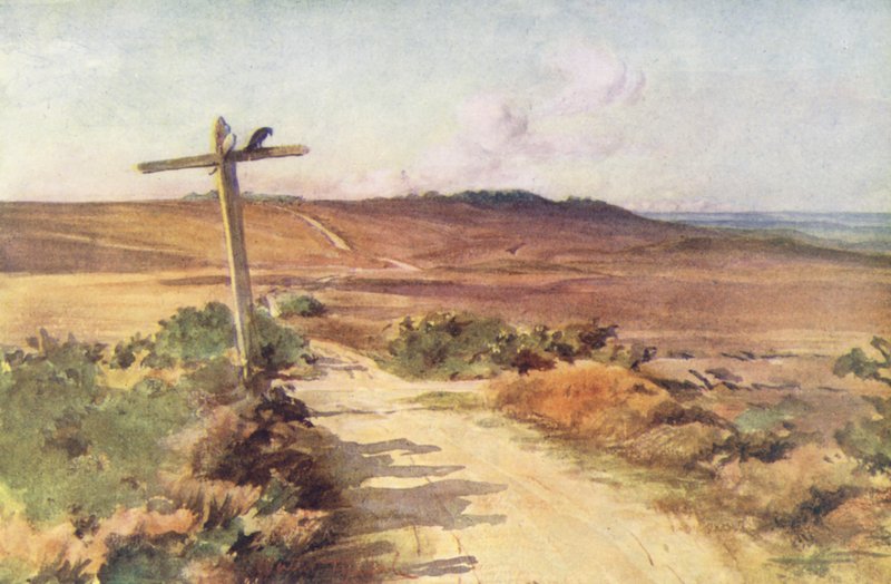 Wessex: Bere Heath no outono, com Gallows Hill à distância (litografia a cores) de Walter Frederick Roofe Tyndale