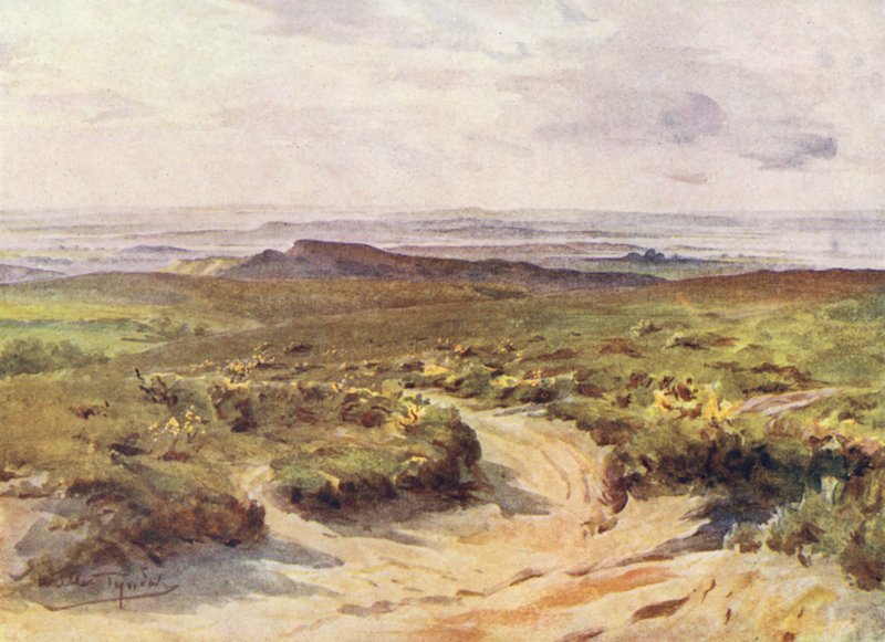 Wessex: Studland Heath, Poole Harbour à distância (litografia a cores) de Walter Frederick Roofe Tyndale