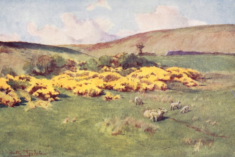 Wessex: verão em Wessex (litografia a cores) de Walter Frederick Roofe Tyndale