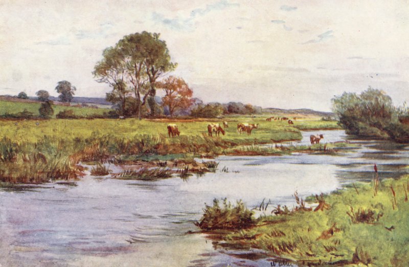 Wessex: O Frome acima de Dorchester, Casterbridge (litografia a cores) de Walter Frederick Roofe Tyndale