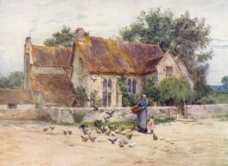 Wessex: Bosques perto de Mere, Wilts (litografia a cores) de Walter Frederick Roofe Tyndale