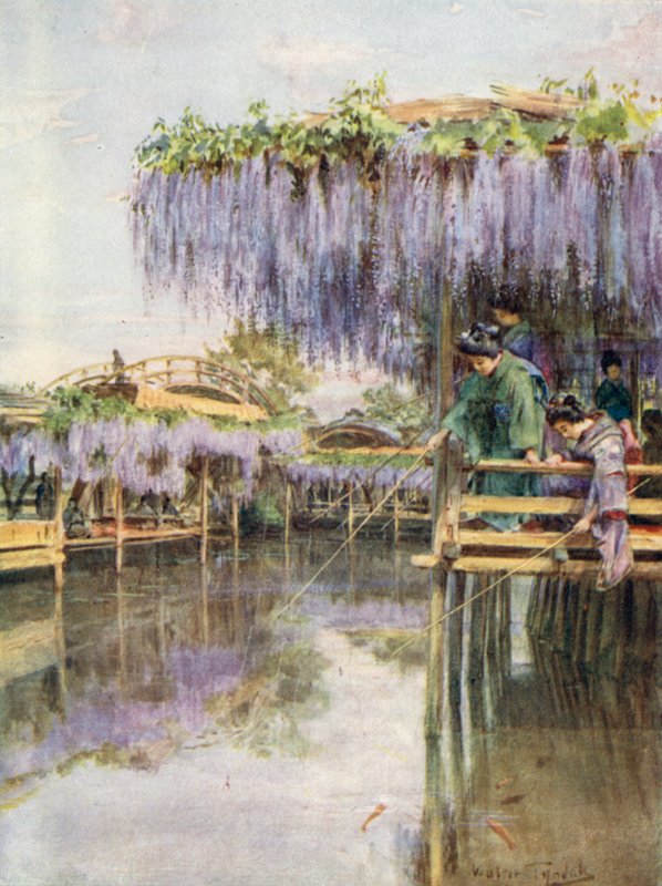 Wistaria em Kameido de Walter Frederick Roofe Tyndale