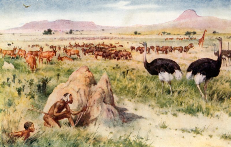 Uma planície sul-africana: antes da vinda do homem branco de Walter Stanley Paget