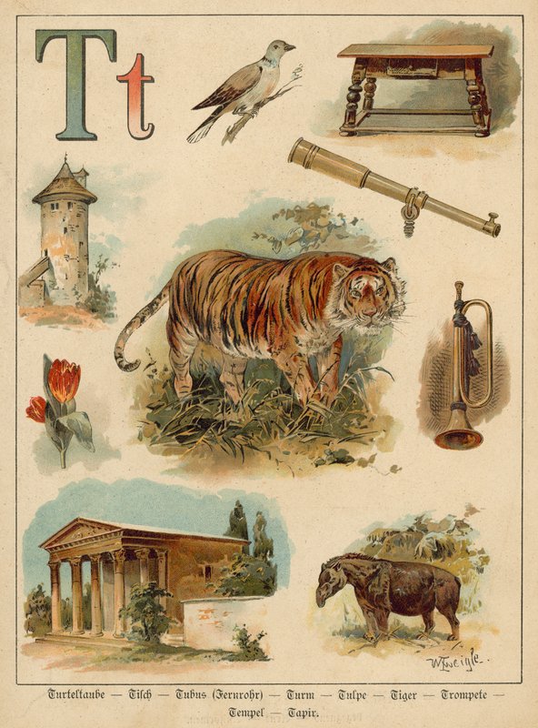 Carta T (chromolitho) de Walter Zweigle