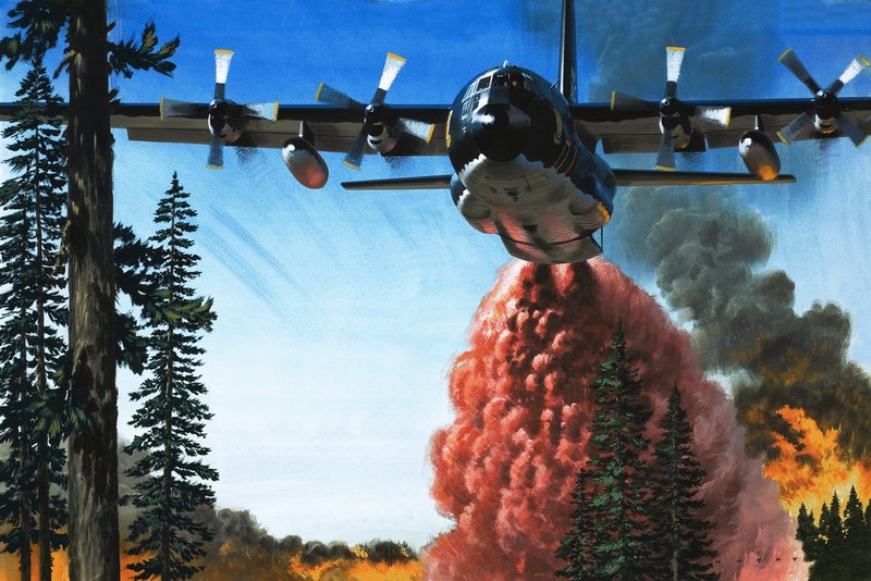Bombardeamento de um incêndio florestal de Wilf (20th century) Hardy
