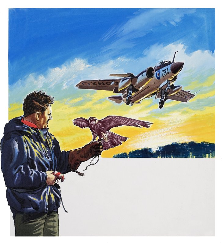Voo do Falcão (guache sobre papel) de Wilf (20th century) Hardy