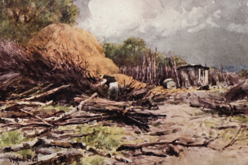 Japheth em ação (litografia a cores) de Wilfrid Williams Ball