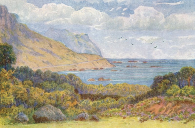 Na estrada Victoria, perto de Oude Kraal (litografia a cores) de Wilhelm Westhofen