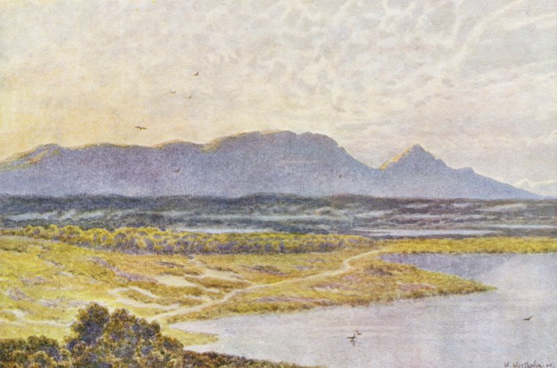 Table Mountain a partir de Retreat Flats (litografia a cores) de Wilhelm Westhofen