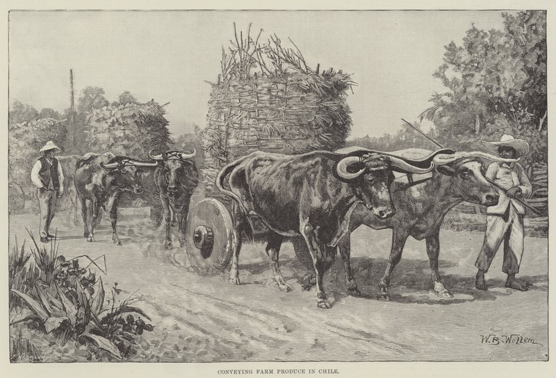 Transporte de produtos agrícolas no Chile de William Barnes Wollen