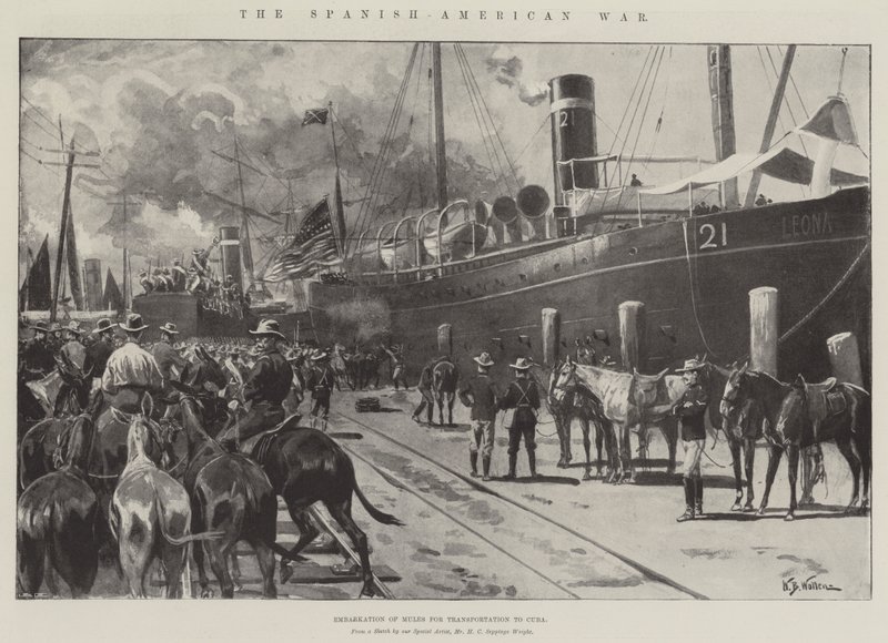 A Guerra Hispano-Americana, Embarque de Mulas para o Transporte para Cuba de William Barnes Wollen