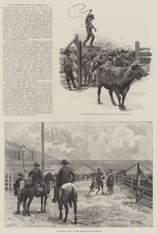 The Stockyards of Chicago de William Barnes Wollen