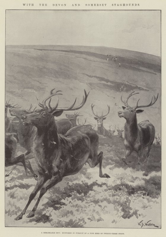 Com os Staghounds de Devon e Somerset de William Barnes Wollen