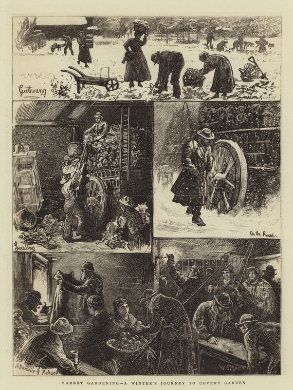 Market Gardening, uma jornada de inverno para Covent Garden de William Bazett Murray