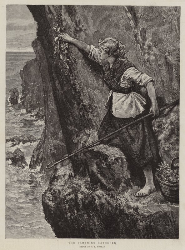 O coletor de samphire de William Bazett Murray