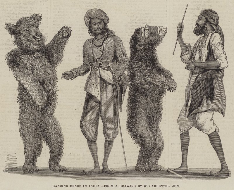 Ursos dançando na Índia de William Carpenter