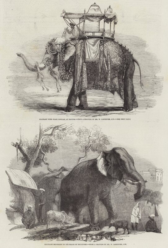 Elefantes indianos de William Carpenter