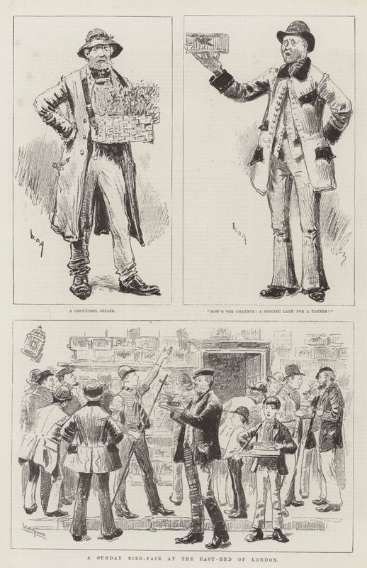 Uma feira de pássaros de domingo no East-End de Londres de William Douglas Almond