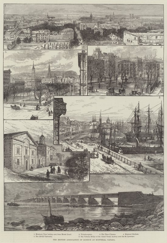 A Associação Britânica de Ciências em Montreal, Canadá de William Henry James Boot