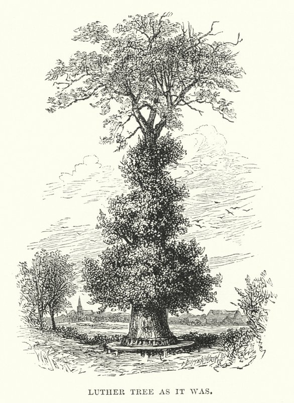 Luther Tree como era de William Henry James after Boot