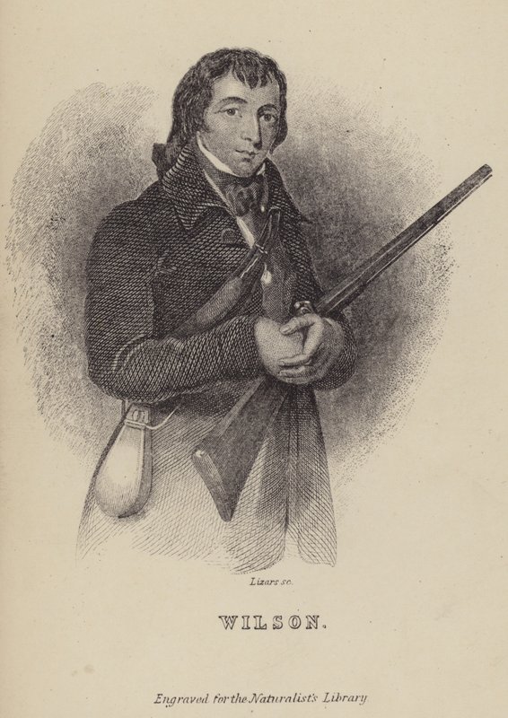 Alexander Wilson, ornitólogo escocês de William Home Lizars