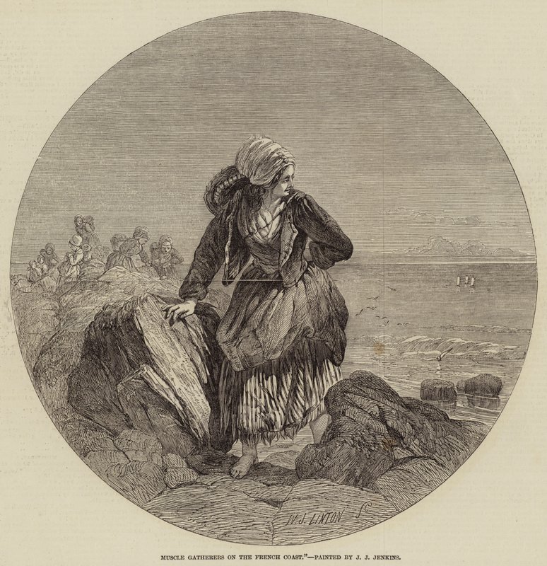 Coletores Musculares na Costa Francesa de William James Linton