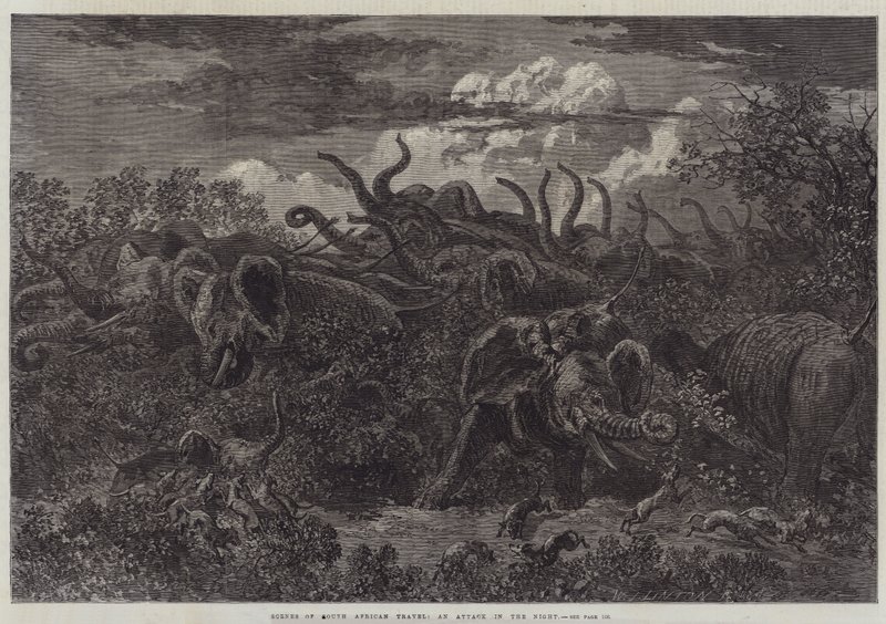 Cenas da viagem sul-africana, um ataque na noite de William James Linton