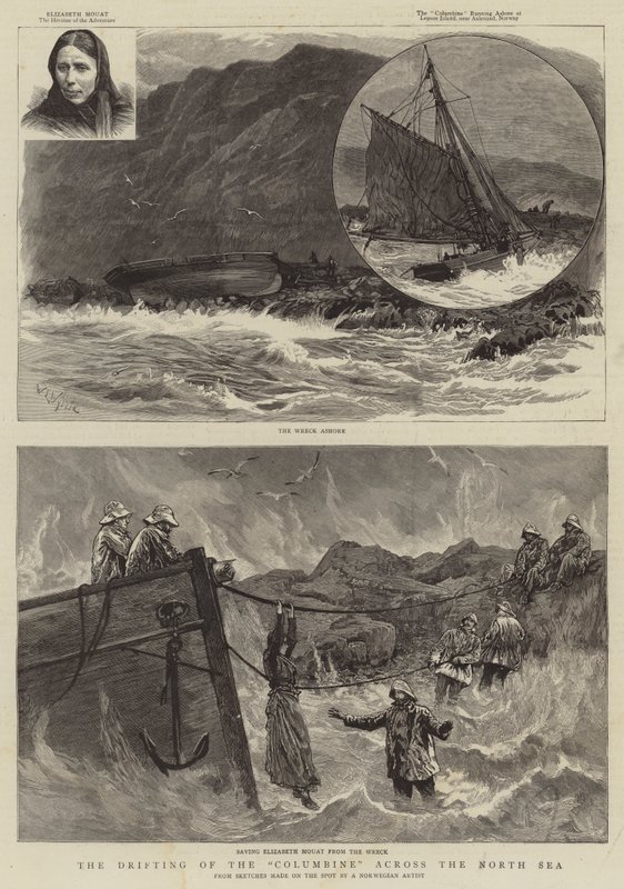 A deriva do aquilégia no Mar do Norte de William Lionel Wyllie