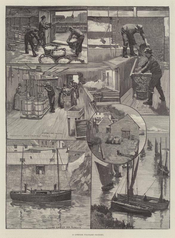 Uma fábrica de pilchard Cornish de William Mouat Loudan