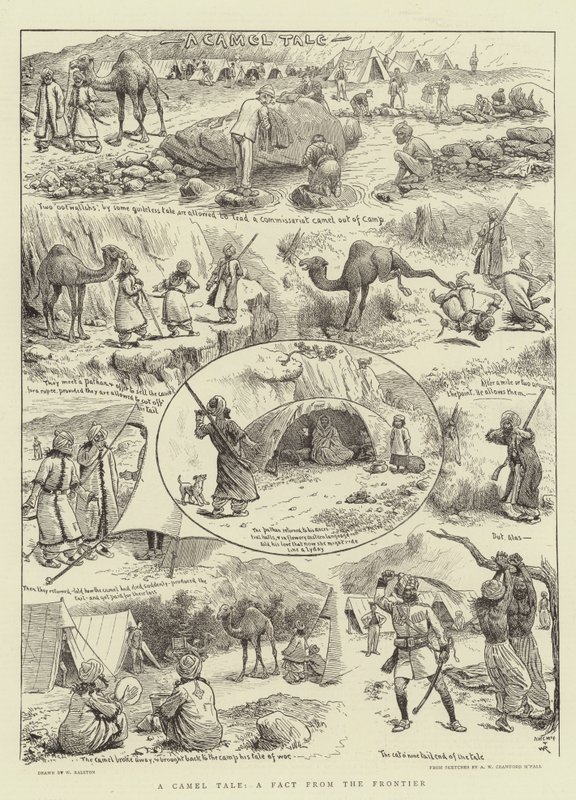 Um conto de camelos, um fato da fronteira de William Ralston