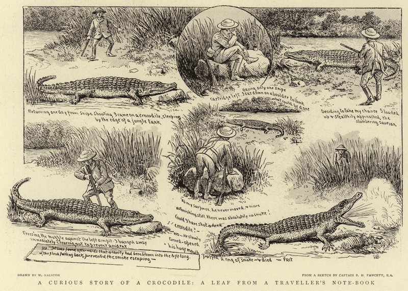 Uma curiosa história de um crocodilo, uma folha de um livro de anotações do viajante de William Ralston
