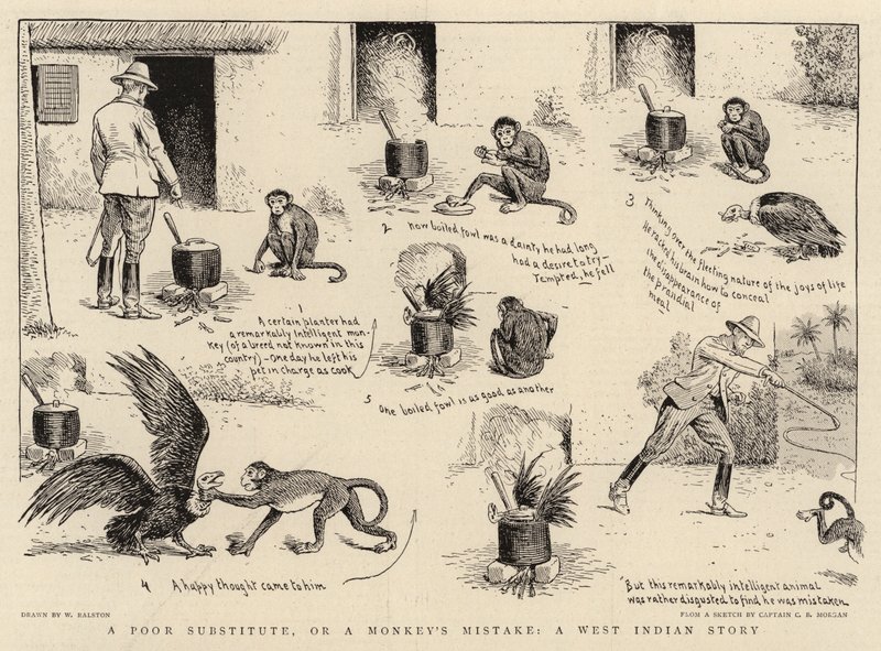 Um pobre substituto, ou um erro de macaco, uma história de índio ocidental de William Ralston